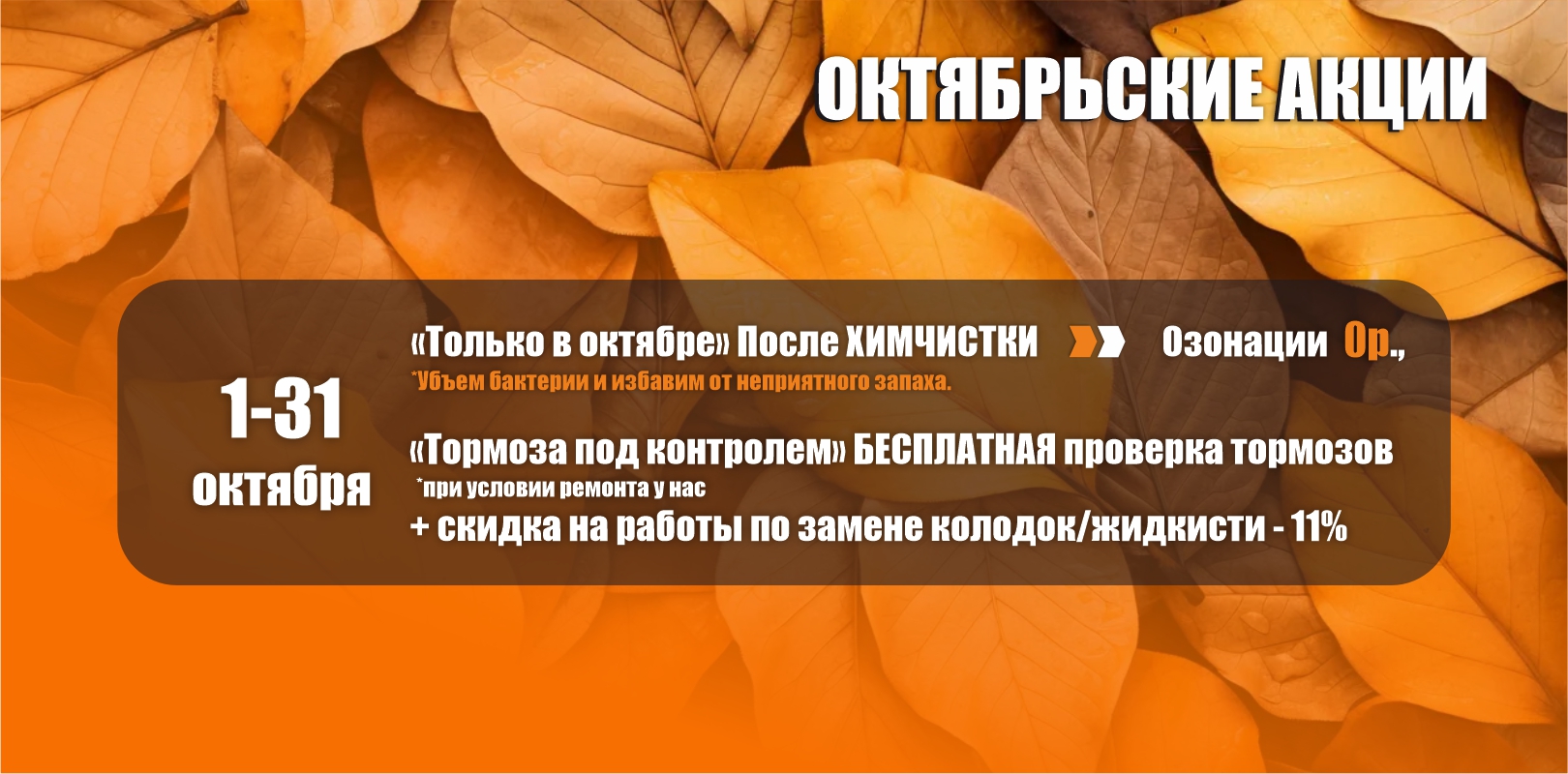 При заказе Химчистке, озонация 0р.